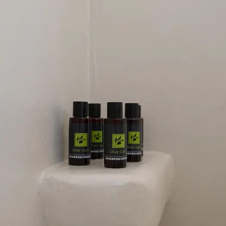 Hotel Paridian Elegant Living Parikia (Paros)